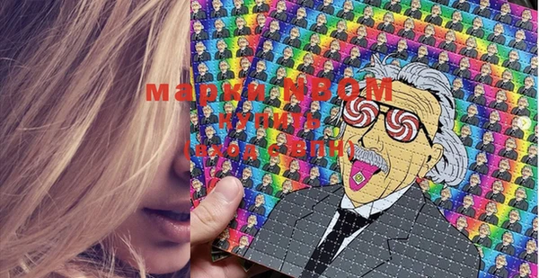 твердый Новокубанск