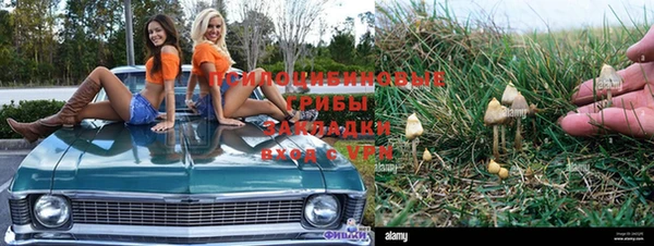 амфетамин Новозыбков