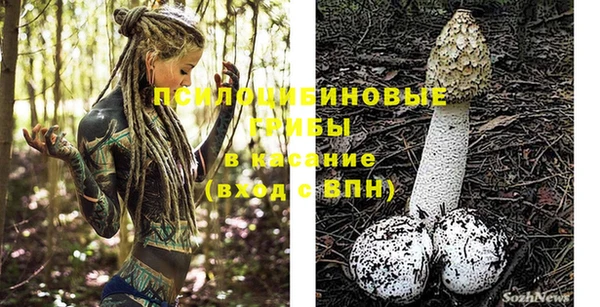 не бодяженный Новодвинск