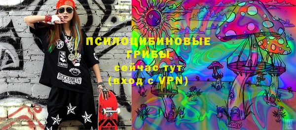 твердый Новокубанск